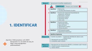 1. IDENTIFICAR
Algoritmo: Politraumatismo. (s/f). SEUP.
Recuperado el 12 de octubre de 2023, de
https://seup.org/algoritmo-
politraumatismo/
 