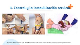 3. Control y la inmovilización cervical
Algoritmo: Politraumatismo. (s/f). SEUP. Recuperado el 12 de octubre de 2023, de https://seup.org/algoritmo-politraumatismo/
 
