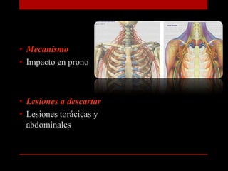 MecanismoImpacto en pronoLesiones a descartarLesiones torácicas y abdominales