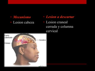 MecanismoLesion cabezaLesion a descartarLesion craneal cerrada y columna cervical