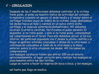 C -  CIRCULACION   Después de las 2 insuflaciones debemos controlar si la victima tiene pulso. el pulso es nuestro índice de actividad del corazón.  la maniobra consiste en apoyar el dedo medio y el anular sobre el cartílago tiroides (nuez de Adán) de la victima, luego deslizamos los dedos hacia un lado y caemos en un surco entre dicho cartílago y el músculo esternocleidomastoideo. Allí debemos localizar la arteria carótida. Verificamos el pulso durante 10 segundos. si no tiene pulso, y solo si no tiene pulso, comenzamos las compresiones en el tórax. Para ello debemos ubicar el tercio inferior del esternon siguiendo con 2 dedos la ultima costilla y al llegar al apófisis xifoides colocamos 2 dedos de la otra mano. a continuación colocamos el talón de la otra mano y la mano anterior sobre la otra cruzando los dedos. Allí iniciamos las compresiones.  Los masajes cardiacos tienen que entrar 100 en un minuto aproximadamente. el lugar correcto para realizar los masajes es exactamente entre las dos tetillas.  Luego se vuelve a hacer la respiración boca a boca, y los masajes.  así hasta que llega un medico.  