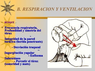 B. RESPIRACION Y VENTILACION BUSQUE  .-   -  Frecuencia respiratoria, Profundidad y simetría del tórax  - Integridad de la pared torácica (herida penetrante)  - Desviación traqueal  – Ingurgitación yugular   - Enfisema Subcutáneo     - Percutir el tórax (sonoridad y mate) 