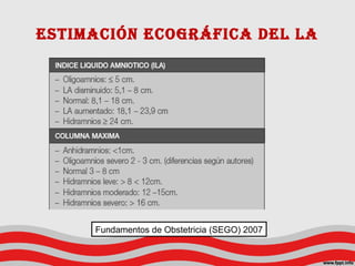 estimación ecoGráfica del la
Fundamentos de Obstetricia (SEGO) 2007
 