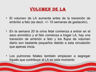 Volumen de la
• El volumen de LA aumenta antes de la transición de
embrión a feto (es decir, +/- 10 semanas de gestación)....