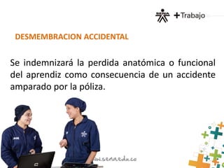 DESMEMBRACION ACCIDENTAL 
Se indemnizará la perdida anatómica o funcional 
del aprendiz como consecuencia de un accidente 
amparado por la póliza. 
 