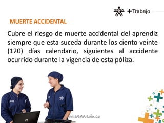 MUERTE ACCIDENTAL 
Cubre el riesgo de muerte accidental del aprendiz 
siempre que esta suceda durante los ciento veinte 
(120) días calendario, siguientes al accidente 
ocurrido durante la vigencia de esta póliza. 
 