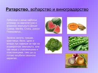 Ратарство, воћарство и виноградарство
Лубенице и диње најбоље
успевају на квалитетном и
влажном земљишту Доњег
Срема, Мачбе, Стига, Јужног
Поморавља...
Зелена салата, грашак,
краставци, бели, црни и
млади лук највише се гаје на
алувијалном земљишту, али
све више у стакленицима и
пластеницима, тако да су
готово изгубили сезонски
карактеп.
 