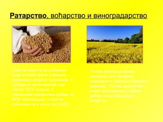 Ратарство, воћарство и виноградарство
Соја се користи за добијање
уља, сточне хране и бројних
агроиндустријских производа. У
Србији се интензивније гаји
после 1975. године. У
панонским пределима добија се
90% производње, а знатне
количине се и увозе (из САД).
Уљана репица је важна
уљарица, али засејане
површине и годишњи приноси
варирају. Готово целокупна
њена произвидња у Србији
добија се из панонских
области.
 