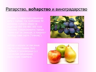 Ратарство, воћарство и виноградарство
Шљиве су најраспрострањеније
воће у Србији. Са приближно 50
милиона стабала убере се
годишње 400 000-600 000 тона
плодова. Традиционално гајење
“пожегаче” се смањује, а предност
добијају нове сорте (“стенлеј”).
Јабуке и крушке се све више
гаје на плантажама. Број
стабала и производња су у
протеклим деценијама
вишеструко повећани.
 