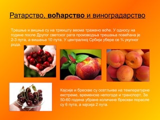 Ратарство, воћарство и виноградарство
Трешње и вишње су на тржишту веома тражено воће. У односу на
године после Другог светског рата производња трешања повећана је
2-3 пута, а вишања 10 пута. У централној Србији убере се ¾ укупног
рода.
Кајсије и брескве су осетљиве на температурне
екстреме, временске непогоде и транспорт. За
50-60 година убране количине брескви порасле
су 6 пута, а кајсија 2 пута.
 