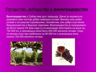 Ратарство, воћарство и виноградарство
Виноградарство у Србији има дугу традицију. Данас је недовољно
развијено иако постоје добри природни услови. Винова лоза добро
успева и на хумусом сиромашним, песковитим, али добро осунчаним
брешжуљкастим и брдским теренима. Виноградарство је напредовало
до 60-их година ХХ века када су се виногради простирали на више од
130 000 ha, а производња вина била 200-300 милиона литара. Сада
се винова лоза гаји приближно на 80 000 ha и производња вина
износи 150-200 милиона литара.
 