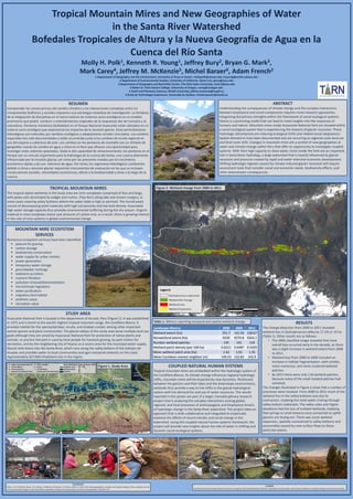 Tropical Mountain Mires and New Geographies of Water
in the Santa River Watershed
Bofedales Tropicales de Altura y la Nueva Geografía de Agua en la
Cuenca del Río Santa
Molly H. Polk1, Kenneth R. Young1, Jeffrey Bury2, Bryan G. Mark3,
Mark Carey4, Jeffrey M. McKenzie5, Michel Baraer6, Adam French2
1 Department of Geography and the Environment, University of Texas at Austin, mollypolk@utexas.edu, kryoung@austin.utexas.edu
2 Department of Environmental Studies, University of California, Santa Cruz, jbury@ucsc.edu
3 Department of Geography and Byrd Polar Center, The Ohio State University, mark.9@osu.edu
4 Robert D. Clark Honors College, University of Oregon, carey@uoregon.edu
5 Earth and Planetary Sciences, McGill University, jeffrey.mckenzie@mcgill.ca
6 École de Technologie Supérieure, Université du Québec, michel.baraer@etsmtl.ca
ABSTRACT
Understanding the consequences of climate change and the complex interactions
between biophysical and social components requires novel research approaches.
Integrating disciplinary strengths within the framework of social-ecological systems
theory is a promising model that can lead to novel insights into the responses of
humans and nature. Mountain mires inside Huascarán National Park are situated within
a social-ecological system that is experiencing the impacts of glacier recession. These
hydrologic disturbances are inducing ecological shifts and related social adaptations.
Spatial alterations have been documented and are occurring as regional-scale land use
and land cover shift. Changes in mountain mires are a symbol of new geographies of
water and climate change within Peru that offer an opportunity to investigate coupled
systems. With their high capacity to store water, mires inside the Park are an important
link in Santa Basin hydrology, a large watershed that is heavily influenced by glacier
recession and pressure created by rapid and water-intensive economic development.
Shifting hydrologic regimes caused by climate-induced glacier recession will require
assessment tools that consider social and economic needs, biodiversity effects, and
other downstream consequences.
STUDY AREA
Huascarán National Park is located in the department of Ancash, Peru (Figure 1). It was established
in 1975 and is home to the world’s highest tropical mountain range, the Cordillera Blanca. It
provides habitat for the spectacled bear, vicuña, and Andean condor, among other important
animal species and plant communities. The glacial valleys of the study area serve multiple land use
goals although they are zoned by Huascaran National Park for protection of native plants and
animals. In practice the park is used by local people for livestock grazing, by park visitors for
recreation, and by the neighboring city of Huaraz as a source area for the municipal water supply.
Glacial melt drains into the Santa River, which runs along the valley bottom of the Callejón de
Huaylas and provides water to local communities and agro-industrial interests on the coast.
Approximately 267,000 inhabitants live in the region.
TROPICAL MOUNTAIN MIRES
The tropical alpine wetlands in the study area are mire complexes comprised of fens and bogs,
with peaty soils dominated by sedges and rushes. They form along lake and stream margins, in
some cases covering valley bottoms where the water table is high or perched. The humid peats
consist of decomposing plant materials with high soil porosity and low bulk density. Associated
high water storage capacity thus provides environmental buffering during the dry season. Organic
material in mire complexes stores vast amounts of carbon and, as a result, there is growing interest
in the role of mire systems in global environmental change.
RESULTS
The change detection from 2000 to 2011 revealed
wetland loss in Quilcayhuanca valley by 17.2% or 33 ha
(Table 1). Other results are as follows:
• The 2006 classified image revealed that most
overall loss occurred early in the decade, as there
was a slight increase in wetland extent from 2006
to 2011.
• Wetland loss from 2000 to 2006 included an
increase in habitat fragmentation, with smaller,
more numerous, and more clustered wetland
patches.
• By 2011 there were only 118 wetland patches,
because many of the small isolated patches had
vanished.
The changes illustrated in Figure 2 show that a number of
processes were involved. From 2000 to 2011 much of the
wetland loss in the valley bottoms was due to
contraction, implying less total water moving through
valley bottom substrates. The valley sides and higher
elevations had the loss of isolated wetlands, implying
that springs or small streams once connected to uphill
glaciers are drying out. There was some wetland
expansion, spatially constrained to valley bottoms and
presumably caused by new surface flows to those
particular places.
Figure 2. Wetland change from 2000 to 2011.
RESUMEN
Comprender las consecuencias del cambio climático y las interacciones complejas entre los
componentes biofísicos y sociales requieren una estrategia novedosa de investigación. La fortaleza
de la integración de disciplinas en el marco teórico de sistemas socio-ecológicos es un modelo
promisorio que podrá conducir a entendimientos originales de la respuestas del ser humano y la
naturaleza. Pantanos montanos (bofedales) en el Parque Nacional Huascarán están ubicados en un
sistema socio-ecológico que experiencia los impactos de la recesión glaciar. Estas perturbaciones
hidrológicas son inducidas por cambios ecológicos y adaptaciones sociales vinculadas. Los cambios
espaciales han sido documentados y están ocurriendo junto a los cambios de escala regional en
uso del espacio y cobertura de este. Los cambios en los pantanos de montaña son un símbolo de
geografías nuevas de cambio en agua y clima en el Perú que ofrecen una oportunidad para
investigar estos sistemas apareados. Dada la alta capacidad de almacenamiento, los pantanos en el
Parque son un vínculo importante para la hidrología de la cuenca del Santa; una cuenca altamente
influenciada por la recesión glaciar, así como por las presiones creadas por el crecimiento
económico rápido y de uso intensivo de agua. Por tanto, los regímenes hidrológicos cambiantes
debido a clima y recesión glaciar requerirán instrumentos de evaluación en los que se incluyen
consecuencias sociales, necesidades económicas, efecto a la biodiversidad y otras a lo largo de la
cuenca.
Landscape Metrics 2000 2006 2011
Wetland extent (ha) 191.7 141.93 158.67
Nonwetland extent (ha) 9230 9279.8 9263.1
Number wetland patches 135 141 118
Wetland patch density (per 100 ha) 0.6211 0.6487 0.5429
Mean wetland patch area (ha) 1.42 1.01 1.35
Mean Euclidean nearest neighbor (m) 149.23 122.82 142.9
COUPLED NATURAL HUMAN SYSTEMS
Tropical mountain mires are embedded within the hydrologic system of
the Cordillera Blanca. As climate change influences regional hydrologic
shifts, mountain mires will be impacted by new dynamics. Positioned
between the glaciers and their lakes and the downslope environments,
wetlands thus provide a way to link shifts in the glacial-hydrological
system with the demand for and use of water resources. The results
reported in this poster are part of a larger, transdisciplinary research
project that is analyzing the complex interactions among global,
regional, and local processes of anthropogenic and biophysical drivers
of hydrologic change in the Santa River watershed. The project takes an
approach that is both collaborative and integrated to empirically
examine the effects of recent climatic and social change in the
watershed. Using this coupled natural human systems framework, the
project will provide new insights about the role of water in shifting and
dynamic social-ecological systems.
REFERENCES
Bury, J., B. G. Mark,M. Carey, K. R. Young, J. McKenzie, M. Baraer, A. French, and M. H. Polk. 2013. New geographies of water and climate change in Peru: coupled natural
and social transformations in the Santa River watershed. Annals of the Association of American Geographers 103:363–374.
FUNDING
Funded by the United States National Science Foundation CNH Award Number 1010132: Hydrologic Transformation and Human Resilience to Climate Change in the Peruvian Andes.
MOUNTAIN MIRE ECOSYSTEM
SERVICES
Numerous ecosystem services have been identified:
 pasture for grazing
 carbon storage
 biodiversity conservation
 water supply for urban centers
 power generation
 temporary water storage
 groundwater recharge
 sediment accretion
 nutrient filtration
 pollution removal/bioremediation
 microclimate regulation
 water purification
 migratory bird habitat
 aesthetic value
 recreation value
Table 1. Metrics reporting temporal and spatial wetland change.
Figure 1. Study Area.
 