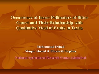 Occurrence of Insect Pollinators of BitterOccurrence of Insect Pollinators of Bitter
Gourd and Their Relationship withGourd and Their Relationship with
Qualitative Yield of Fruits in TaxilaQualitative Yield of Fruits in Taxila
Mohammad IrshadMohammad Irshad
Waqar Ahmad & Elizabeth StephanWaqar Ahmad & Elizabeth Stephan
National Agricultural Research Center, IslamabadNational Agricultural Research Center, Islamabad
 