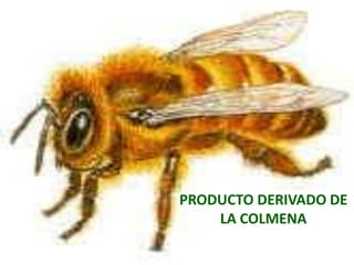 REGULADOR DEL APETITO