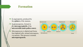 Pollen grains | PPTX