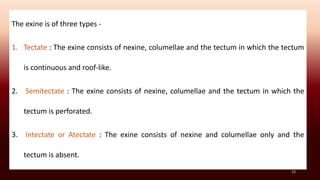 The exine is of three types -
1. Tectate : The exine consists of nexine, columellae and the tectum in which the tectum
is continuous and roof-like.
2. Semitectate : The exine consists of nexine, columellae and the tectum in which the
tectum is perforated.
3. Intectate or Atectate : The exine consists of nexine and columellae only and the
tectum is absent.
12
 