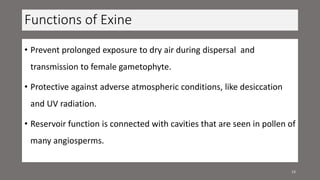 Functions of Exine
• Prevent prolonged exposure to dry air during dispersal and
transmission to female gametophyte.
• Protective against adverse atmospheric conditions, like desiccation
and UV radiation.
• Reservoir function is connected with cavities that are seen in pollen of
many angiosperms.
13
 