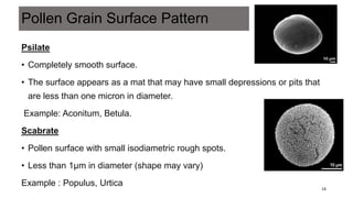 Pollen morphology, exine sculpturing, pollen kitt,NPC and ...