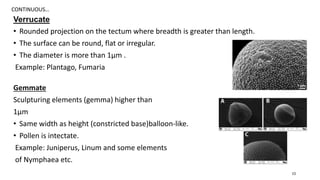 Verrucate
• Rounded projection on the tectum where breadth is greater than length.
• The surface can be round, flat or irregular.
• The diameter is more than 1μm .
Example: Plantago, Fumaria
Gemmate
Sculpturing elements (gemma) higher than
1μm
• Same width as height (constricted base)balloon-like.
• Pollen is intectate.
Example: Juniperus, Linum and some elements
of Nymphaea etc.
CONTINUOUS…
15
 