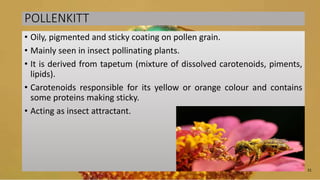 POLLENKITT
• Oily, pigmented and sticky coating on pollen grain.
• Mainly seen in insect pollinating plants.
• It is derived from tapetum (mixture of dissolved carotenoids, piments,
lipids).
• Carotenoids responsible for its yellow or orange colour and contains
some proteins making sticky.
• Acting as insect attractant.
31
 