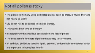 Pollen morphology, exine sculpturing, pollen kitt,NPC and ...