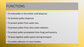 FUNCTIONS
• To hold pollen in the anther until dispersal.
• To facilitate pollen dispersal.
• To protect pollen from water loss.
• To protect pollen from ultra-violet radiation.
• To protect pollen protoplasts from fungi and bacteria.
• To keep together pollen grains during transport.
• To enable adhesion to insect bodies.
34
 
