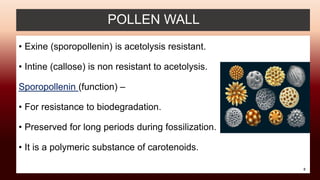 POLLEN WALL
• Exine (sporopollenin) is acetolysis resistant.
• Intine (callose) is non resistant to acetolysis.
Sporopollenin (function) –
• For resistance to biodegradation.
• Preserved for long periods during fossilization.
• It is a polymeric substance of carotenoids.
8
 