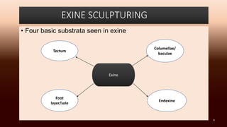 EXINE SCULPTURING
• Four basic substrata seen in exine
Exine
Tectum
Columellae/
baculae
Foot
layer/sole
Endexine
9
 