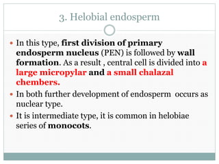 3. Helobial endosperm
 In this type, first division of primary
endosperm nucleus (PEN) is followed by wall
formation. As a result , central cell is divided into a
large micropylar and a small chalazal
chembers.
 In both further development of endosperm occurs as
nuclear type.
 It is intermediate type, it is common in helobiae
series of monocots.
 