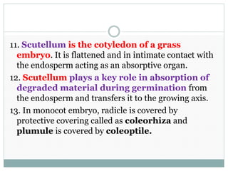 11. Scutellum is the cotyledon of a grass
embryo. It is flattened and in intimate contact with
the endosperm acting as an absorptive organ.
12. Scutellum plays a key role in absorption of
degraded material during germination from
the endosperm and transfers it to the growing axis.
13. In monocot embryo, radicle is covered by
protective covering called as coleorhiza and
plumule is covered by coleoptile.
 