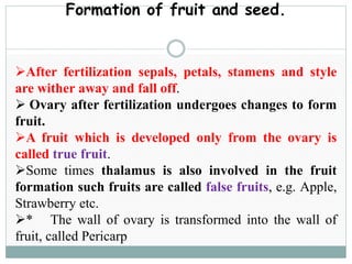 Formation of fruit and seed.
After fertilization sepals, petals, stamens and style
are wither away and fall off.
 Ovary after fertilization undergoes changes to form
fruit.
A fruit which is developed only from the ovary is
called true fruit.
Some times thalamus is also involved in the fruit
formation such fruits are called false fruits, e.g. Apple,
Strawberry etc.
* The wall of ovary is transformed into the wall of
fruit, called Pericarp
 