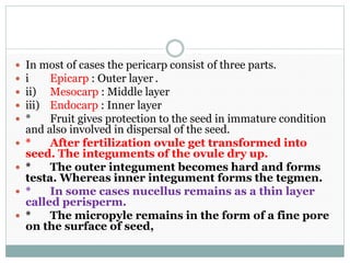  In most of cases the pericarp consist of three parts.
 i Epicarp : Outer layer .
 ii) Mesocarp : Middle layer
 iii) Endocarp : Inner layer
 * Fruit gives protection to the seed in immature condition
and also involved in dispersal of the seed.
 * After fertilization ovule get transformed into
seed. The integuments of the ovule dry up.
 * The outer integument becomes hard and forms
testa. Whereas inner integument forms the tegmen.
 * In some cases nucellus remains as a thin layer
called perisperm.
 * The micropyle remains in the form of a fine pore
on the surface of seed,
 