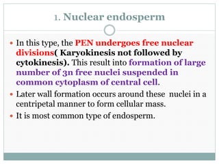 1. Nuclear endosperm
 In this type, the PEN undergoes free nuclear
divisions( Karyokinesis not followed by
cytokinesis). This result into formation of large
number of 3n free nuclei suspended in
common cytoplasm of central cell.
 Later wall formation occurs around these nuclei in a
centripetal manner to form cellular mass.
 It is most common type of endosperm.
 