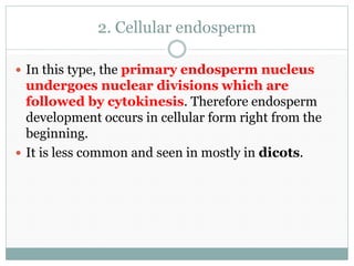2. Cellular endosperm
 In this type, the primary endosperm nucleus
undergoes nuclear divisions which are
followed by cytokinesis. Therefore endosperm
development occurs in cellular form right from the
beginning.
 It is less common and seen in mostly in dicots.
 
