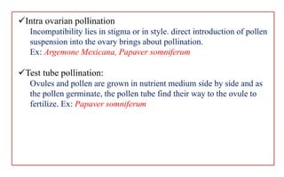 Intra ovarian pollination
Incompatibility lies in stigma or in style. direct introduction of pollen
suspension into the ovary brings about pollination.
Ex: Argemone Mexicana, Papaver somniferum
Test tube pollination:
Ovules and pollen are grown in nutrient medium side by side and as
the pollen germinate, the pollen tube find their way to the ovule to
fertilize. Ex: Papaver somniferum
 