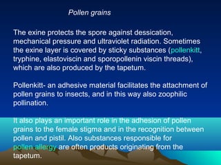 The exine protects the spore against dessication,
mechanical pressure and ultraviolet radiation. Sometimes
the exine layer is covered by sticky substances (pollenkitt,
tryphine, elastoviscin and sporopollenin viscin threads),
which are also produced by the tapetum.
Pollenkitt- an adhesive material facilitates the attachment of
pollen grains to insects, and in this way also zoophilic
pollination.
It also plays an important role in the adhesion of pollen
grains to the female stigma and in the recognition between
pollen and pistil. Also substances responsible for
pollen allergy are often products originating from the
tapetum.
Pollen grains
 