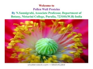 Welcome to
Pollen Wall Proteins
By N.Sannigrahi, Associate Professor, Department of
Botany, Nistarini College, Purulia, 723101(W.B) India
 