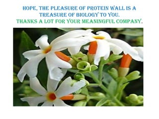 HOPE, THE PLEASURE OF PROTEIN WALL IS A
TREASURE OF BIOLOGY TO YOU.
THANKS A LOT FOR YOUR MEANINGFUL COMPANY.
 