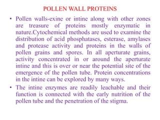 POLLEN WALL PROTEINS
• Pollen walls-exine or intine along with other zones
are treasure of proteins mostly enzymatic in
nature.Cytochemical methods are used to examine the
distribution of acid phosphatases, esterase, amylases
and protease activity and proteins in the walls of
pollen grains and spores. In all aperturate grains,
activity concentrated in or around the aperturate
intine and this is over or near the potential site of the
emergence of the pollen tube. Protein concentrations
in the intine can be explored by many ways.
• The intine enzymes are readily leachable and their
function is connected with the early nutrition of the
pollen tube and the penetration of the stigma.
 