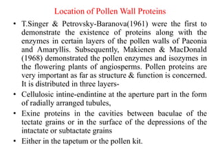 Location of Pollen Wall Proteins
• T.Singer & Petrovsky-Baranova(1961) were the first to
demonstrate the existence of proteins along with the
enzymes in certain layers of the pollen walls of Paeonia
and Amaryllis. Subsequently, Makienen & MacDonald
(1968) demonstrated the pollen enzymes and isozymes in
the flowering plants of angiosperms. Pollen proteins are
very important as far as structure & function is concerned.
It is distributed in three layers-
• Cellulosic intine-endintine at the aperture part in the form
of radially arranged tubules,
• Exine proteins in the cavities between baculae of the
tectate grains or in the surface of the depressions of the
intactate or subtactate grains
• Either in the tapetum or the pollen kit.
 