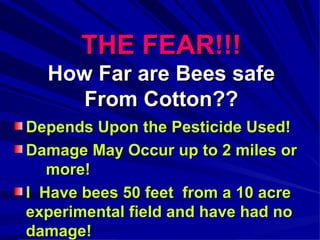 THE FEAR!!!
  How Far are Bees safe
     From Cotton??
Depends Upon the Pesticide Used!
Damage May Occur up to 2 miles or
   more!
I Have bees 50 feet from a 10 acre
experimental field and have had no
damage!
 
