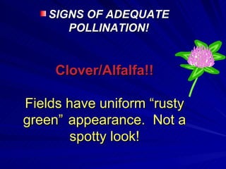 SIGNS OF ADEQUATE
       POLLINATION!


     Clover/Alfalfa!!

Fields have uniform “rusty
green” appearance. Not a
       spotty look!
 