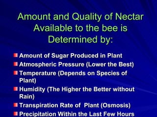 Amount and Quality of Nectar
  Available to the bee is
     Determined by:
Amount of Sugar Produced in Plant
Atmospheric Pressure (Lower the Best)
Temperature (Depends on Species of
Plant)
Humidity (The Higher the Better without
Rain)
Transpiration Rate of Plant (Osmosis)
Precipitation Within the Last Few Hours
 
