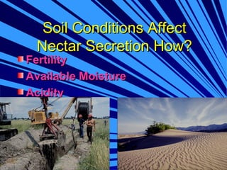Soil Conditions Affect
 Nectar Secretion How?
Fertility
Available Moisture
Acidity
 
