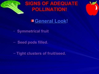 SIGNS OF ADEQUATE
           POLLINATION!

             General Look!
–   Symmetrical fruit

– Seed pods filled.

– Tight clusters of fruit/seed.
 