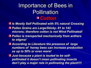 Importance of Bees in
         Pollination
                    Cotton
Is Mostly Self Pollinated with 5% natural Crossing
Pollen Grains are Large/Sticky- 81 to 143
microns; therefore cotton is not Wind Pollinated!
Pollen is transported mechanically from anthers
to stigma!
According to Literature the presence of large
numbers of honey bees can increase production
as up to 50% or even more!
Just because a plant is touted to be self-
pollinated it doesn’t mean pollinating insects
don’t play a major role in pollinating the plant!!!!
 