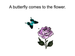 A butterfly comes to the flower.

 