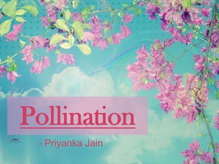 Pollination
- Priyanka Jain

 