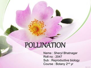 POLLINATION
Name : Sheryl Bhatnagar
Roll no : 2047
Sub : Reproductive biology
Course : Botany 2nd yr
 