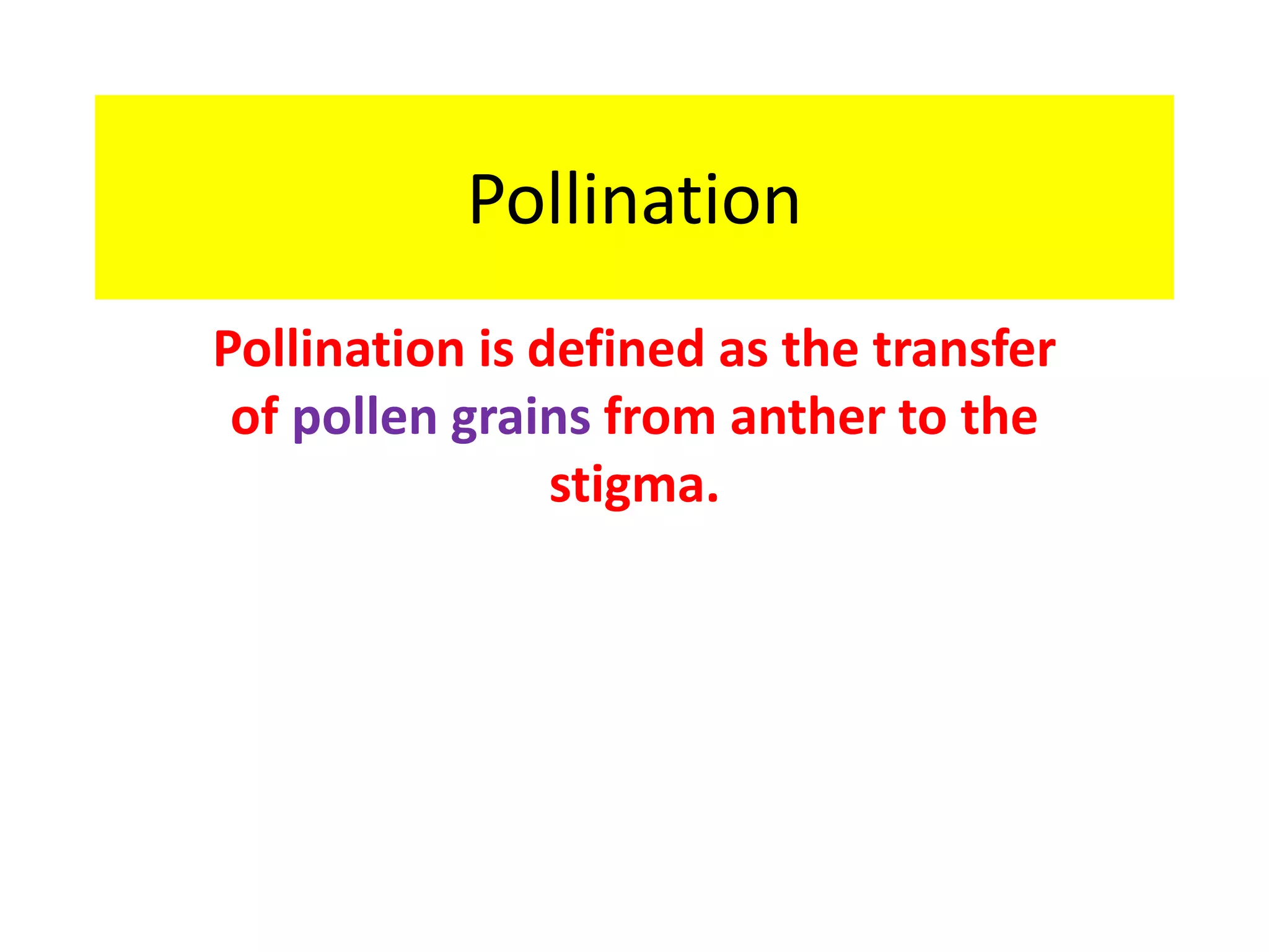 pollination-ppt